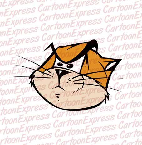 angry cat